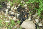 Złomiarze – plaga współczesności