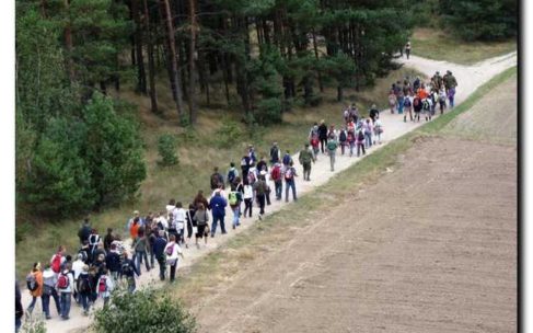 „VIII Marsz Szlakiem Żołnierzy Września 1939” połączony ze spacerem nordic walking „VIII Marsz Szlakiem Żołnierzy Września 1939” połączony ze spacerem nordic walking