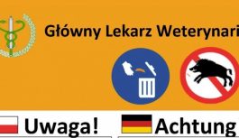 Uwaga, ważny komunikat dotyczący afrykańskiego pomoru świń Uwaga, ważny komunikat dotyczący afrykańskiego pomoru świń