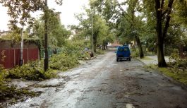 Tucholanie byli w szoku… Tucholanie byli w szoku…