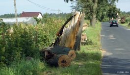 Komunikat dot. uporządkowania terenów przy drogach powiatowych Komunikat dot. uporządkowania terenów przy drogach powiatowych