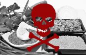 Komunikat Głównego Lekarza Weterynarii w sprawie obecności niedozwolonej substancji – fipronil w jajach konsumpcyjnych pochodzących z polskich ferm Komunikat Głównego Lekarza Weterynarii w sprawie obecności niedozwolonej substancji – fipronil w jajach konsumpcyjnych pochodzących z polskich ferm