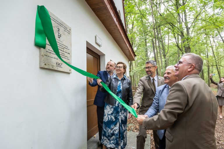 Las Piwnicki – symbol dbałości o przyrodę