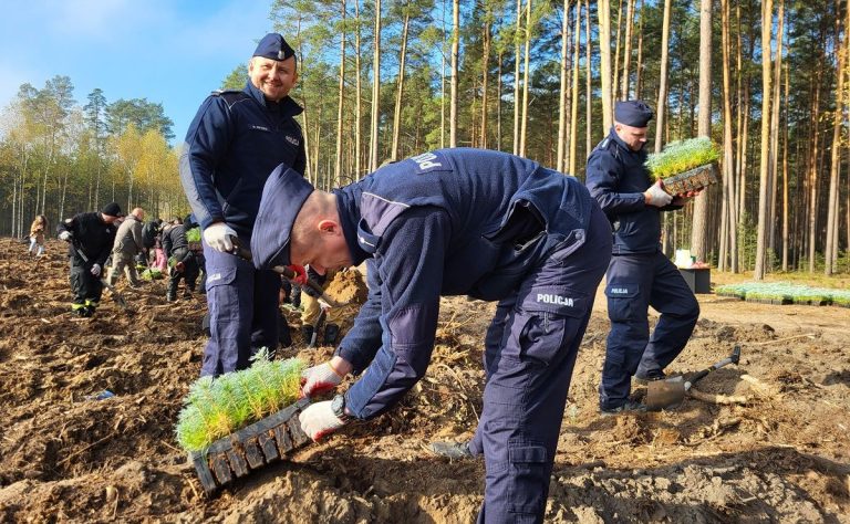 Policjanci włączyli się w akcję sadzenia lasu