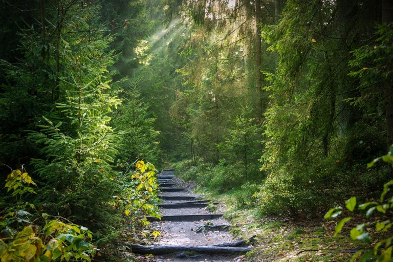 Tucholski Park Krajobrazowy. Dzień Krajobrazu – Zrelaksuj się z nami!