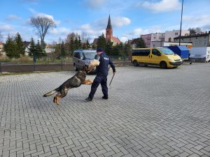 Tucholska Policja na Festiwalu Służb Mundurowych