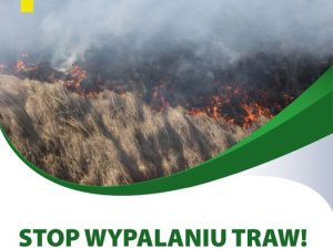 STOP wypalaniu traw!