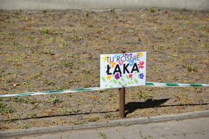 Tutaj rośnie łąka!