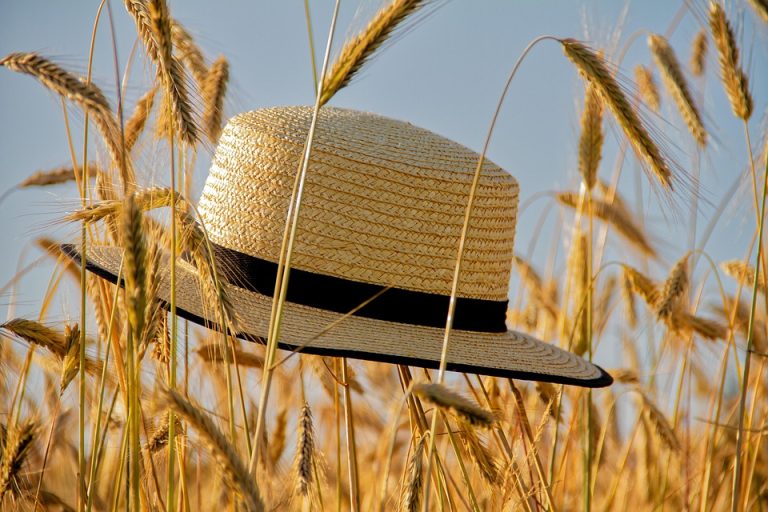 66. Dni Borów Tucholskich i Imprezy Lata 2025