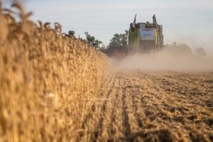 Dożynki wojewódzkie 2025 – spotykamy się w Myślęcinku!