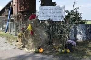 ZAPROSZENIE. DOŻYNKI W GM. KĘSOWO ODBĘDĄ SIĘ W SOBOTĘ