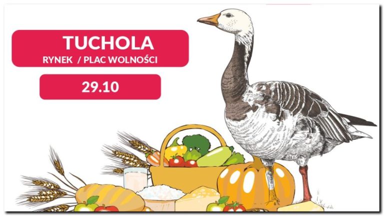 Gęsinowy Foodtruck w Tucholi