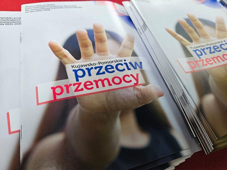 Wsparcie dla osób dotkniętych przemocą domową