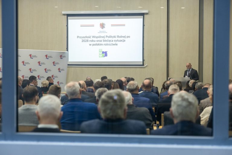 Marna interpretacja rzeczywistości, a w tle MERCOSUR