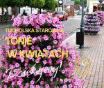 Tucholska starówka i kwiaty