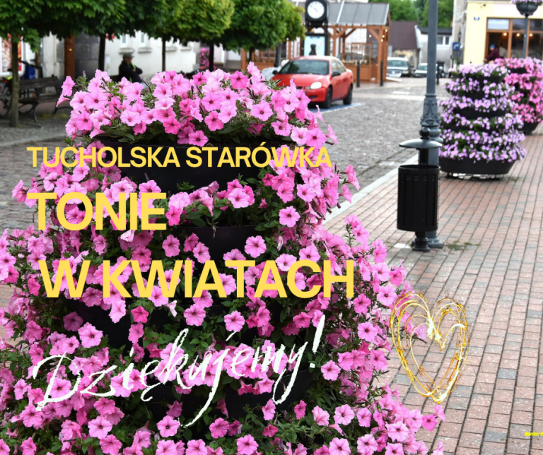 Tucholska starówka i kwiaty