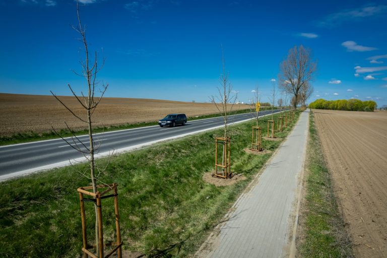 Coraz więcej zielonych alei przy drogach wojewódzkich również w gm.:Kęsowo, Tuchola i Lubiewo